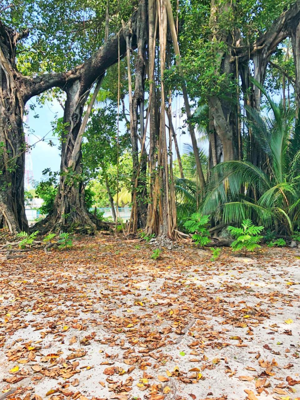 Hotel Wow Retreat Felidhoo Exterior foto